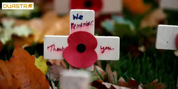 Remembrance Day Astrological Significance of Armistice Day
